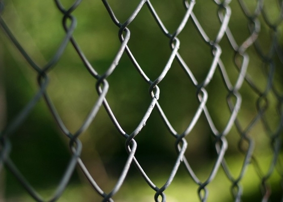 jardim da rede de arame do elo de corrente de 25-100mm/25m Diamond Chain Link Fence For