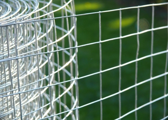 304 316 fio de aço inoxidável fio de metal Mesh Roll de Mesh Fence/3M